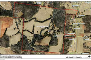 1520 Brims Grove Rd, Pinnacle, NC 27043 - Photo 49