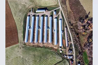 446 Grover Simmons Road, Dobson, NC 27017 - Photo 41