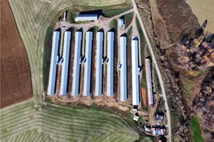 446 Grover Simmons Rd, Dobson, NC 27017 - Photo 41