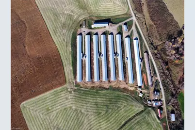 446 Grover Simmons Road, Dobson, NC 27017 - Photo 43