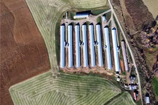 446 Grover Simmons Rd, Dobson, NC 27017 - Photo 43