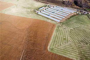 446 Grover Simmons Rd, Dobson, NC 27017 - Photo 47