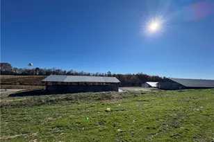 446 Grover Simmons Rd, Dobson, NC 27017 - Photo 17