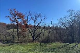 446 Grover Simmons Rd, Dobson, NC 27017 - Photo 25