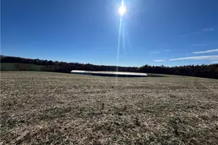 446 Grover Simmons Rd, Dobson, NC 27017 - Photo 35