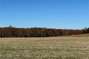 446 Grover Simmons Rd, Dobson, NC 27017 - Photo 33