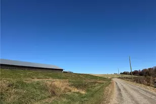 446 Grover Simmons Rd, Dobson, NC 27017 - Photo 39