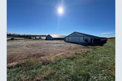 446 Grover Simmons Road, Dobson, NC 27017 - Photo 21