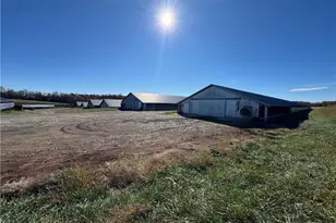 446 Grover Simmons Rd, Dobson, NC 27017 - Photo 21