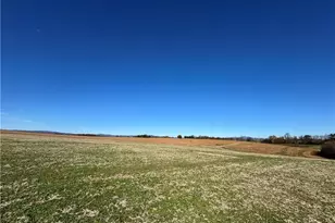 446 Grover Simmons Rd, Dobson, NC 27017 - Photo 9