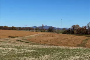 446 Grover Simmons Rd, Dobson, NC 27017 - Photo 7