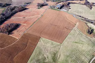 446 Grover Simmons Rd, Dobson, NC 27017 - Photo 49