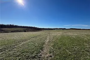 446 Grover Simmons Rd, Dobson, NC 27017 - Photo 11