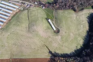 446 Grover Simmons Rd, Dobson, NC 27017 - Photo 45