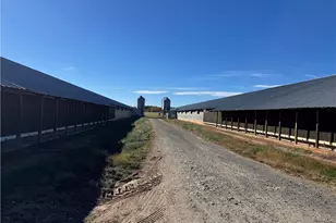 446 Grover Simmons Rd, Dobson, NC 27017 - Photo 19