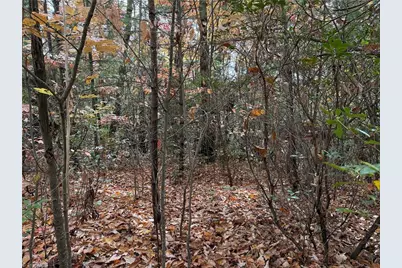 Lot 209 Casey Mountain Road, Purlear, NC 28665 - Photo 3