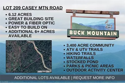 Lot 209 Casey Mountain Road, Purlear, NC 28665 - Photo 1