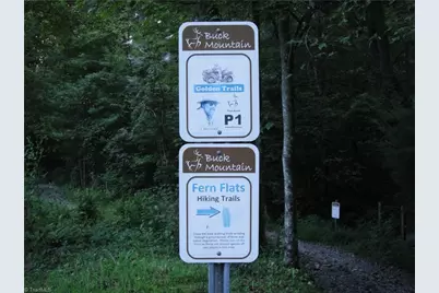 Lot 209 Casey Mountain Road, Purlear, NC 28665 - Photo 23