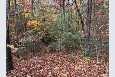 Lot 209 Casey Mountain Road, Purlear, NC 28665 - Photo 7