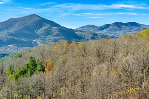 1451 Elliott Rd, West Jefferson, NC 28694 - Photo 9