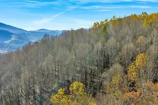 1451 Elliott Rd, West Jefferson, NC 28694 - Photo 31