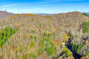 1451 Elliott Rd, West Jefferson, NC 28694 - Photo 27