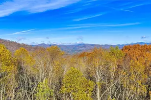 1451 Elliott Rd, West Jefferson, NC 28694 - Photo 33