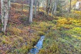 1451 Elliott Rd, West Jefferson, NC 28694 - Photo 5