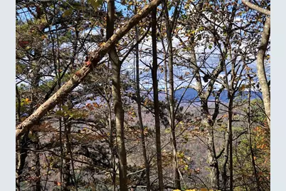 Lot 96 Buck Mountain Road, Purlear, NC 28665 - Photo 15