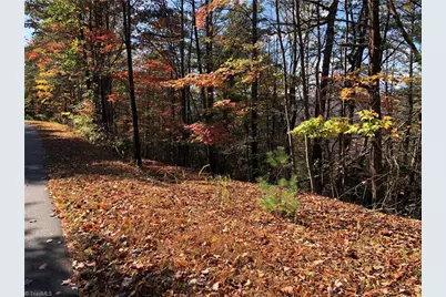 Lot 96 Buck Mountain Road, Purlear, NC 28665 - Photo 9