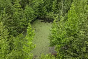 1301 Nc Hwy 49, Asheboro, NC 27205 - Photo 7