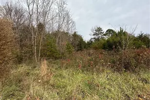 4832 Vienna Dozier Rd, Pfafftown, NC 27040 - Photo 39