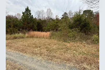 4832 Vienna Dozier Road, Pfafftown, NC 27040 - Photo 37