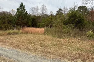 4832 Vienna Dozier Rd, Pfafftown, NC 27040 - Photo 37