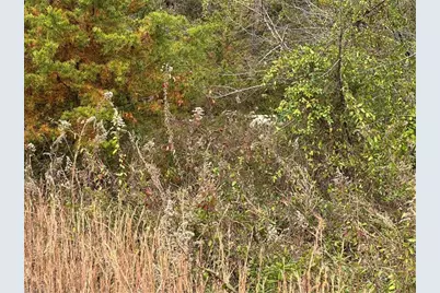 4832 Vienna Dozier Road, Pfafftown, NC 27040 - Photo 41