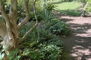 403 Weaver Dr, Lexington, NC 27292 - Photo 43