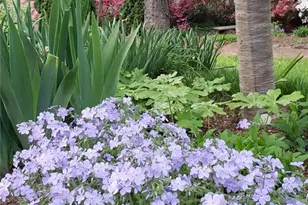 403 Weaver Dr, Lexington, NC 27292 - Photo 39