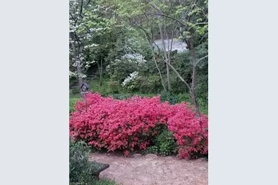 403 Weaver Drive, Lexington, NC 27292 - Photo 41