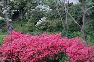 403 Weaver Dr, Lexington, NC 27292 - Photo 41