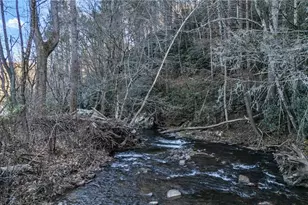 7821 Nc Hwy 16, Millers Creek, NC 28651 - Photo 37