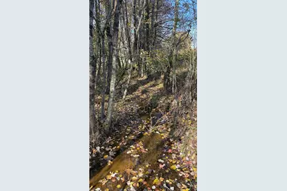 3.1 Ac +/- Long Valley Road, Greensboro, NC 27410 - Photo 13