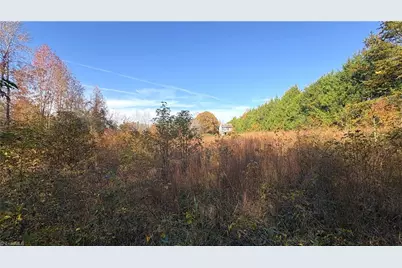 3.1 Ac +/- Long Valley Road, Greensboro, NC 27410 - Photo 11