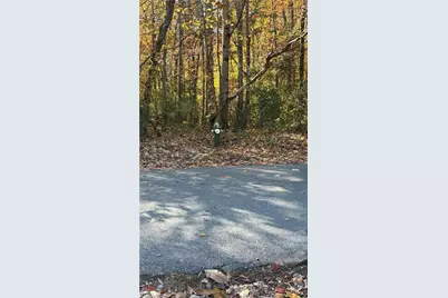 3.1 Ac +/- Long Valley Road, Greensboro, NC 27410 - Photo 19