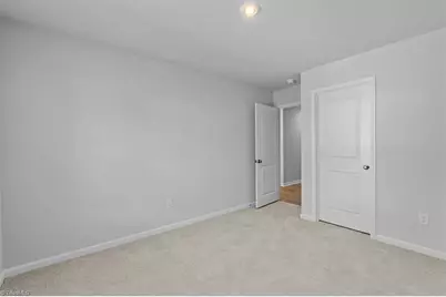 407 Pinnacle Drive, Randleman, NC 27317 - Photo 29