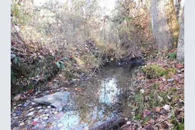 00 Billings Hill Church Road, Traphill, NC 28685 - Photo 9