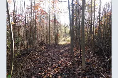 00 Billings Hill Church Road, Traphill, NC 28685 - Photo 25