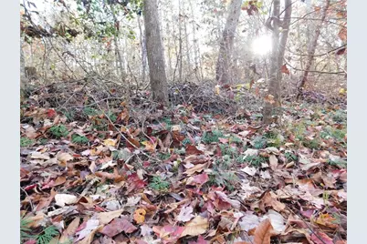 00 Billings Hill Church Road, Traphill, NC 28685 - Photo 17