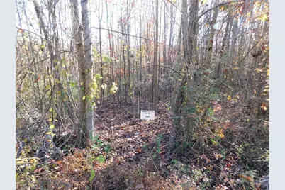 00 Billings Hill Church Road, Traphill, NC 28685 - Photo 5