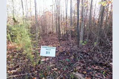 00 Billings Hill Church Road, Traphill, NC 28685 - Photo 15