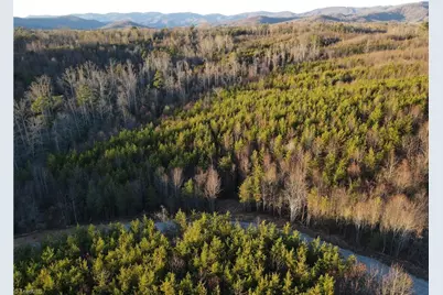 00 Billings Hill Church Road, Traphill, NC 28685 - Photo 35